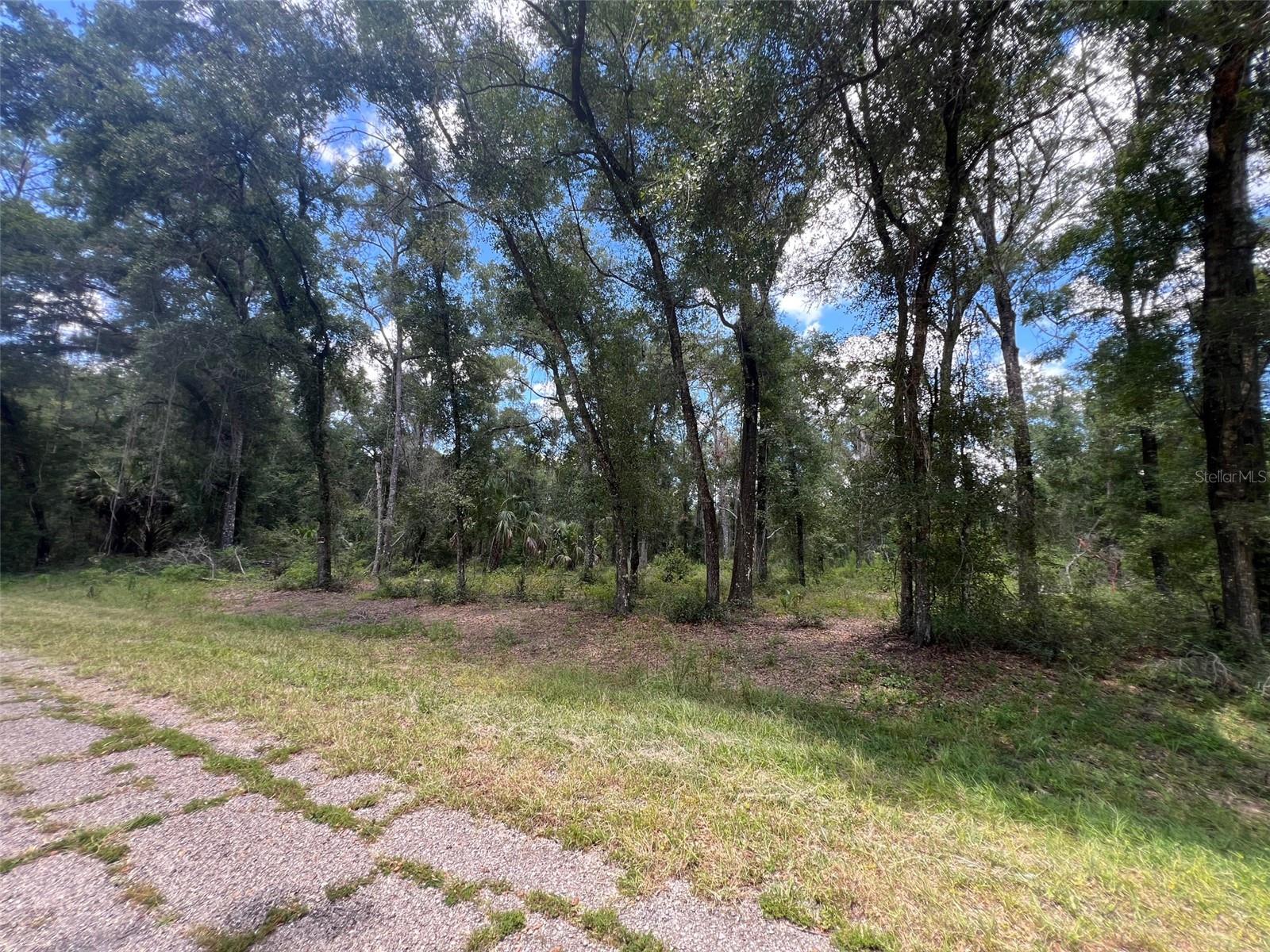 Land in DUNNELLON 5