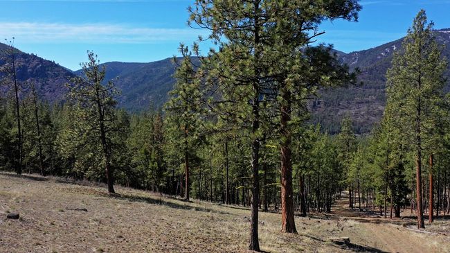 31760 Old Highway 10 W, Home with 0 bedrooms, 0 bathrooms and null parking in Alberton MT | Image 46
