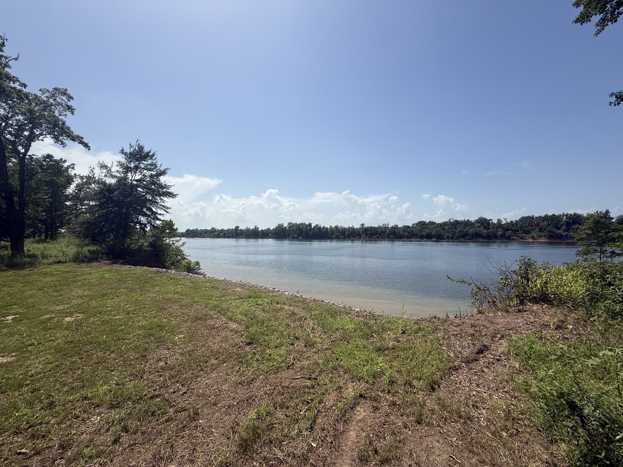 Land in Savannah 2