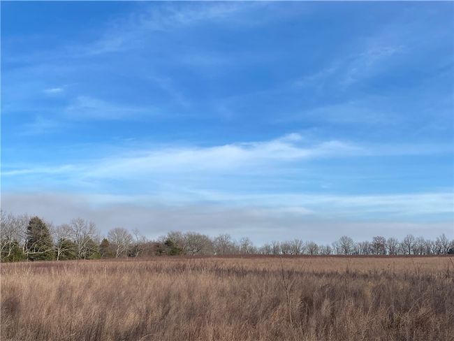 TBD 5051, Home with 0 bedrooms, 0 bathrooms and null parking in Pettigrew AR | Image 7