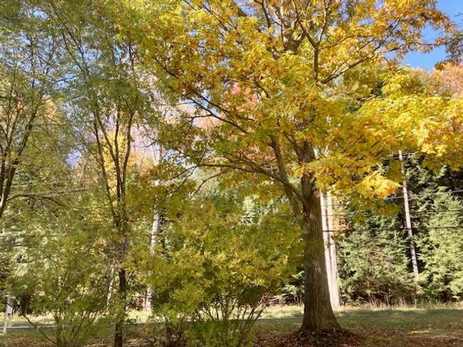 9840 Route 36, House other with 3 bedrooms, 3 bathrooms and 2 parking in Sigel PA | Image 46