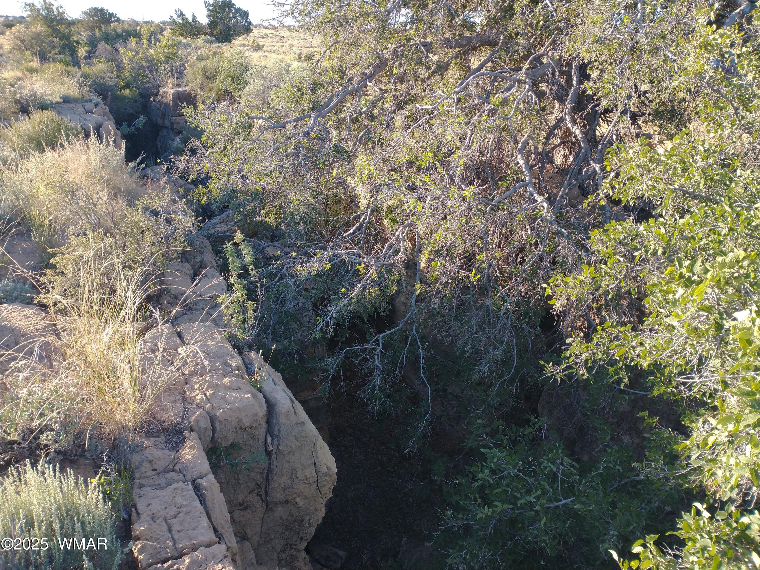 Lot 682 Chevelon Canyon Ranch, For Sale in Heber - eXp Realty