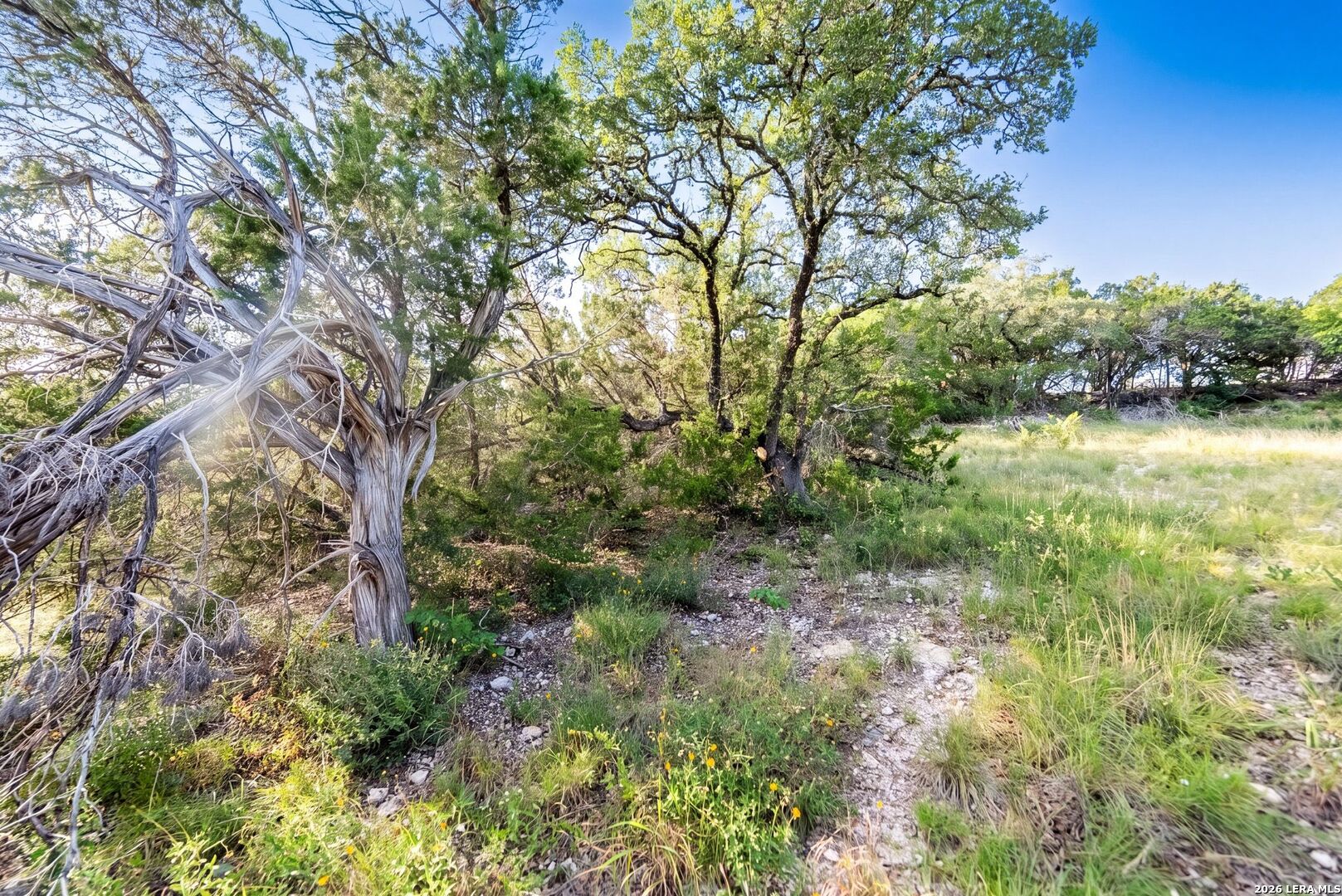 Land in Spring Branch 5