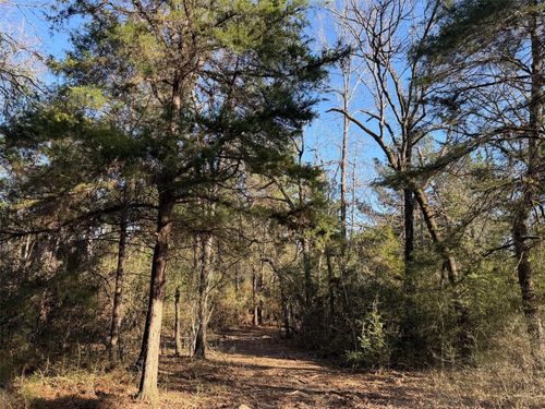 26 ac F County Road 295, Oakwood, TX, 75855 | Card Image