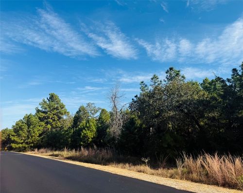 147 Arbors Cir, Elgin, TX, 78621-5636 | Card Image