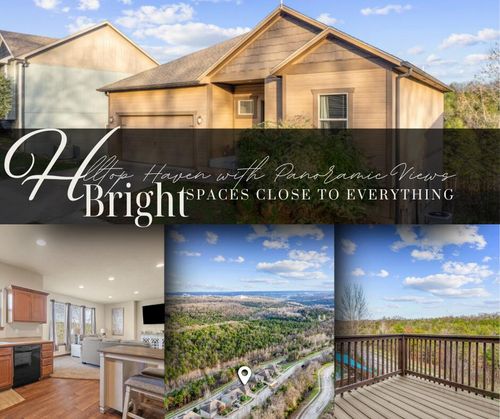 113 Jury Ln, Branson, MO, 65616-4518 | Card Image