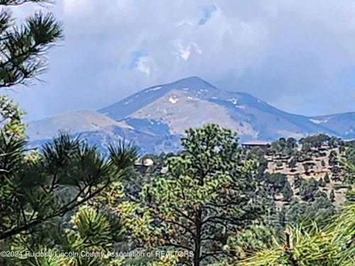 116 Pat Thompson Ct, Ruidoso, NM, 88345-5818 | Card Image