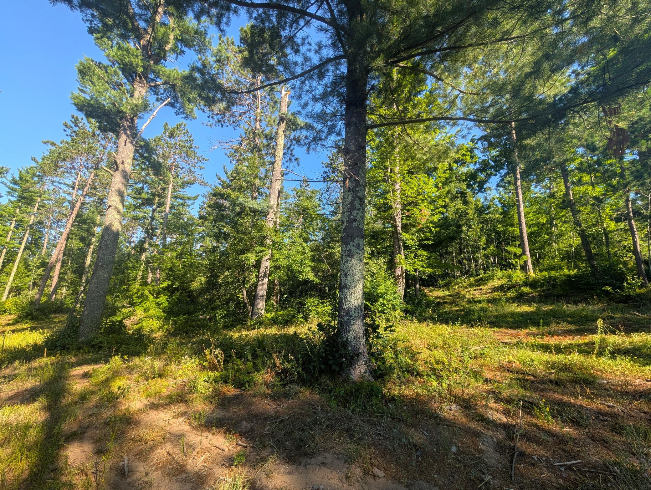 Land in Springbrook 3