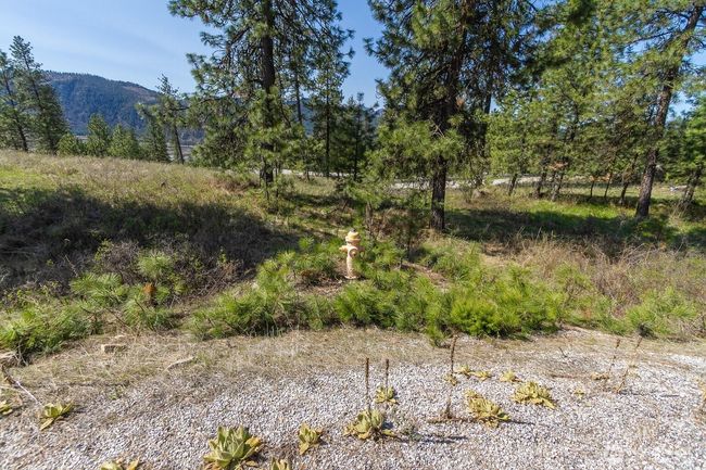 1622 Palmer Loop, Home with 0 bedrooms, 0 bathrooms and null parking in Chewelah WA | Image 12