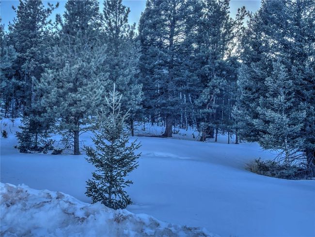 1174 Monarch Dr, Home with 0 bedrooms, 0 bathrooms and null parking in Cripple Creek CO | Image 13