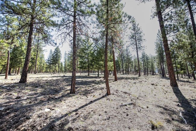 31760 Old Highway 10 W, Home with 0 bedrooms, 0 bathrooms and null parking in Alberton MT | Image 40