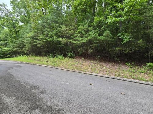 Lot 134 Lower Brow Rd, Dunlap, TN, 37327-6878 | Card Image