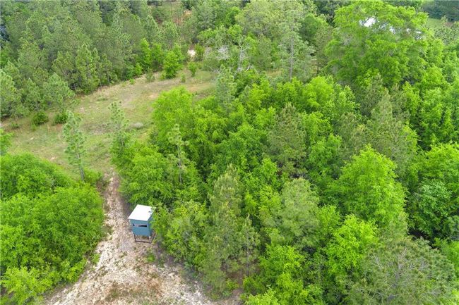 Bird's eye view with a wooded view | Image 28