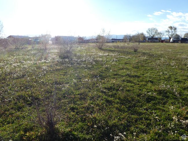 View of yard | Image 19