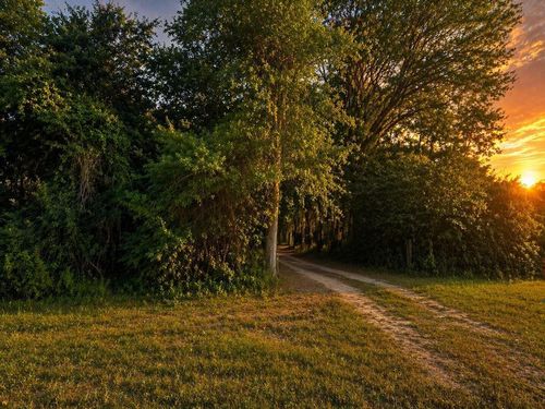 708 County Road 386 N, Wewahitchka, FL, 32465-7508 | Card Image