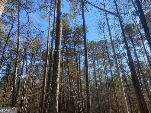 0 Corinth Five Points Rd, Buchanan, GA, 30113 | Card Image