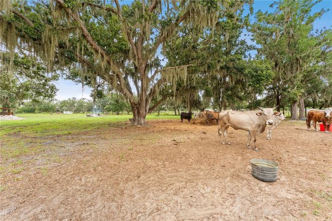 9819 Allen Rd, House other with 3 bedrooms, 2 bathrooms and null parking in Lithia FL | Image 37