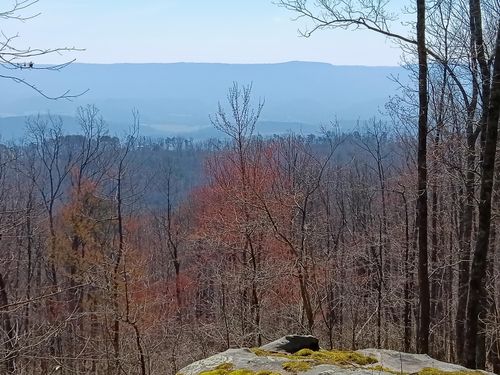 8 Harlee Vista Rd, Pikeville, TN, 37367 | Card Image