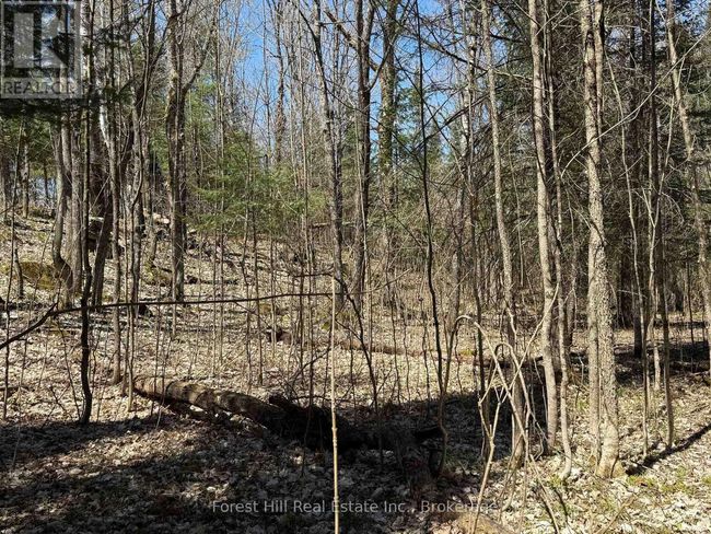 27 Old Nipissing Road N Road, Home with 0 bedrooms, 0 bathrooms and null parking in Parry Sound Remote Area (Pringle) ON | Image 13