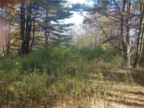 0 Dawson Hill Rd, Spencer, NY, 14883 | Card Image