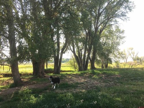 Unassigned County Road Y43, Norwood, CO, 81423 | Card Image