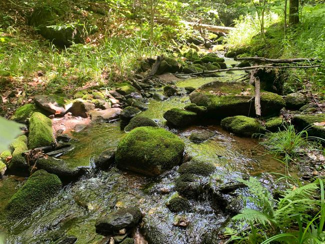 1680 W Hill Dr, Home with 0 bedrooms, 0 bathrooms and null parking in Readsboro VT | Image 20