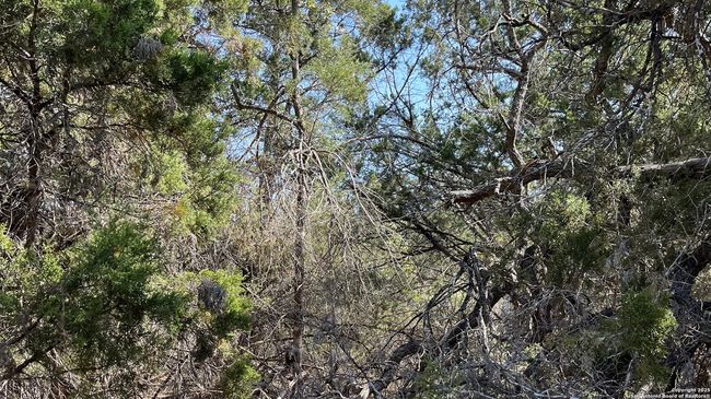 0 State Highway 46 W, Home with 0 bedrooms, 0 bathrooms and null parking in Spring Branch TX | Image 13
