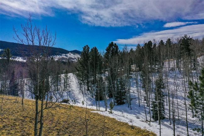 1230 May Queen Dr, Home with 0 bedrooms, 0 bathrooms and null parking in Cripple Creek CO | Image 22
