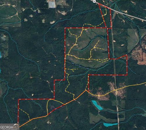 650+/- AC Talbotton Hwy, Butler, GA, 31006 | Card Image