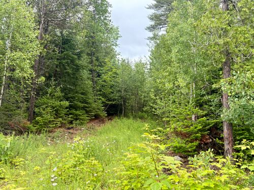 Lot 3 Mt. Jefferson Heights, Lee, ME, 04455 | Card Image
