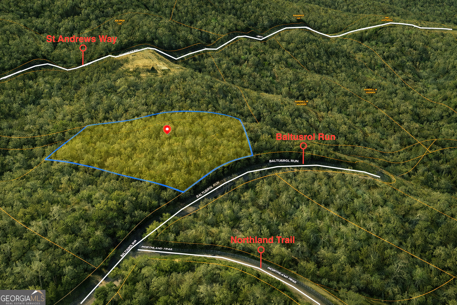Land in Ellijay