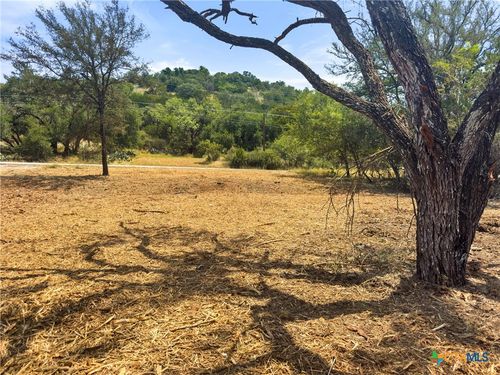 238 Sandy Mountain Dr, Sunrise Beach, TX, 78643-9204 | Card Image