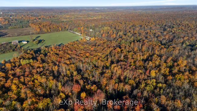 PTLT 17 Grey Road 17 N/A, Home with 0 bedrooms, 0 bathrooms and null parking in Georgian Bluffs ON | Image 8