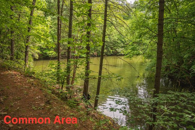 4042 Cabin Land Dr, Home with 3 bedrooms, 3 bathrooms and null parking in Radford VA | Image 46
