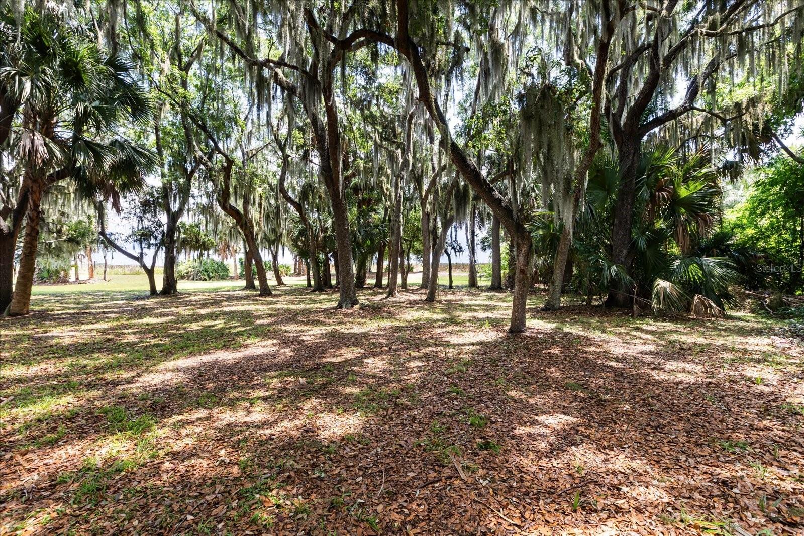 Land in TAVARES 5