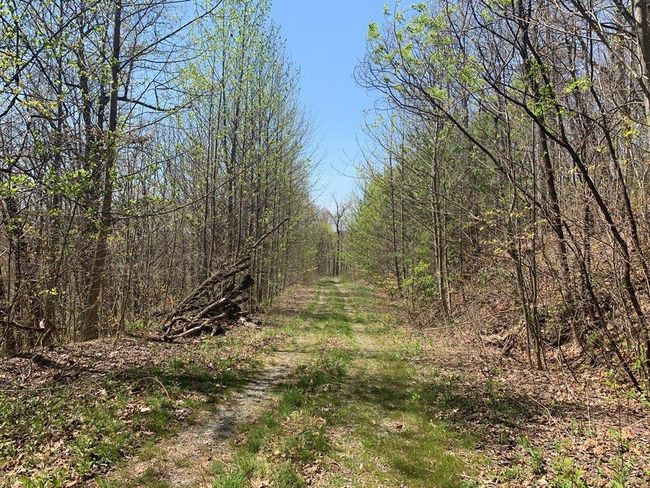 91 - 43 Old Burnt Mountain Rd, Home with 0 bedrooms, 0 bathrooms and null parking in Ellijay GA | Image 25
