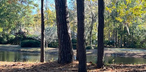 TBD Green Wing Teal Ln, Pawleys Island, SC, 29585 | Card Image