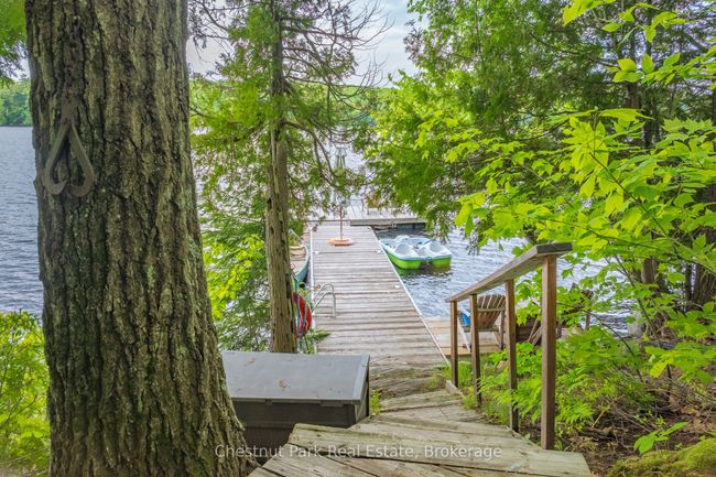 1066 Apiary Rd, House other with 4 bedrooms, 2 bathrooms and 6 parking in Port Carling ON | Image 18