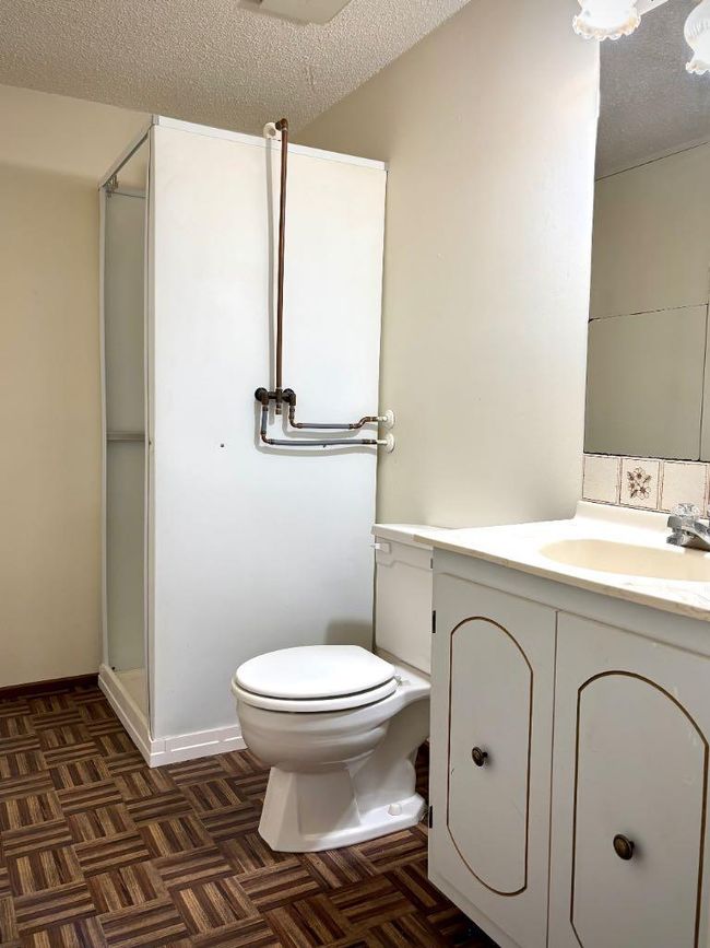 105 3 St, House other with 4 bedrooms, 3 bathrooms and 4 parking in Cadogan AB | Image 17