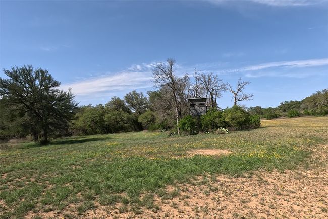 View of yard with a wooded view | Image 34