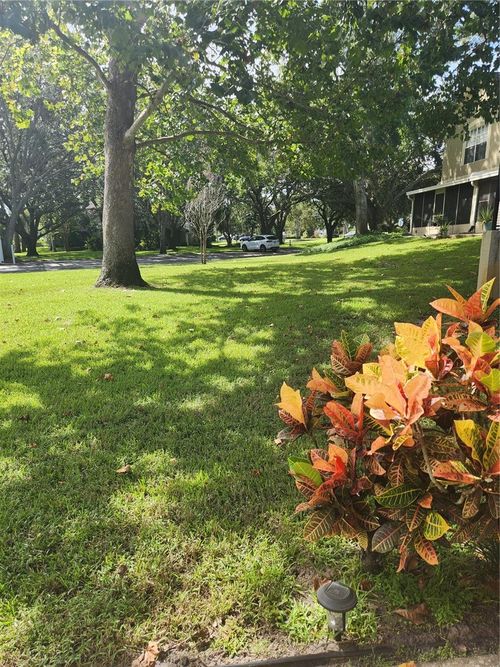 apt-63-2897 Thaxton Dr, PALM HARBOR, FL, 34684-4751 | Card Image