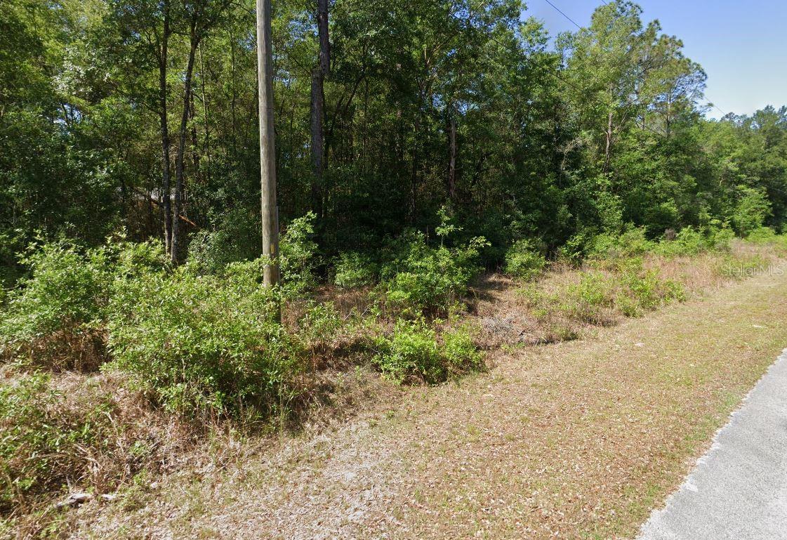 Land in DUNNELLON 3