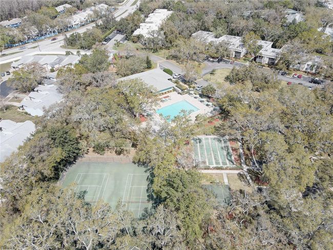 2312 Tallyho Ln, House other with 2 bedrooms, 3 bathrooms and null parking in PALM HARBOR FL | Image 51
