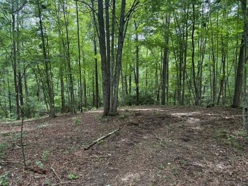 3 S Pittsburg Mountain Rd, South Pittsburg, TN, 37380 | Card Image