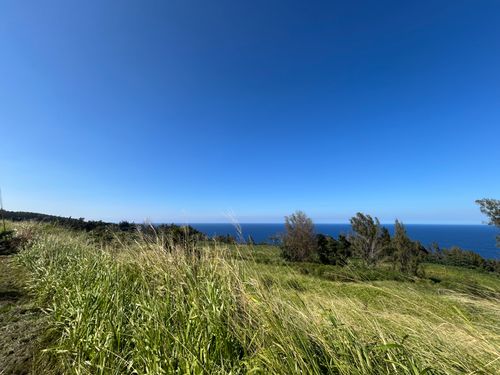 39-3195 Old Mamalahoa Hwy, OOKALA, HI, 96774 | Card Image