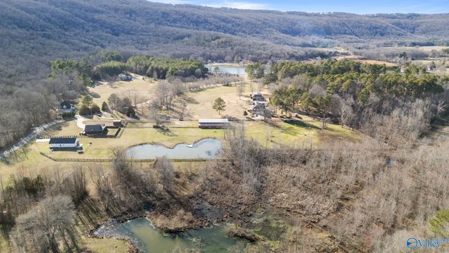 315 Rock Spring Rd, Home with 3 bedrooms, 2 bathrooms and null parking in Owens Cross Roads AL | Image 41