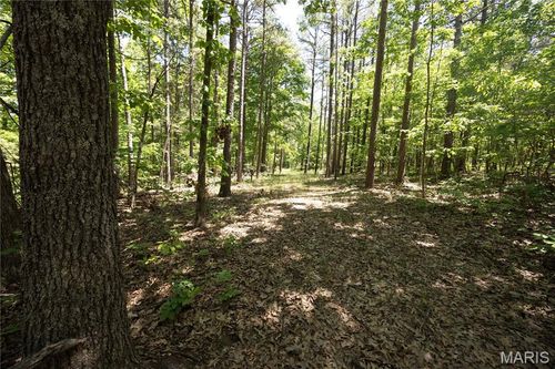 Tract 4 Bcr 930, Patton, MO, 63662 | Card Image