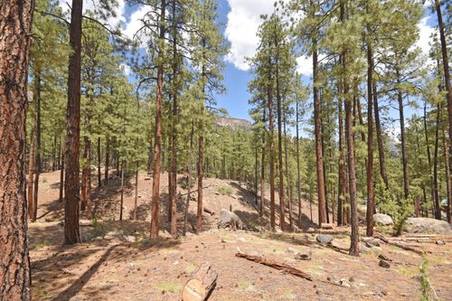 Lot 6A Cool Pines, Jemez Springs, NM, 87025 | Card Image