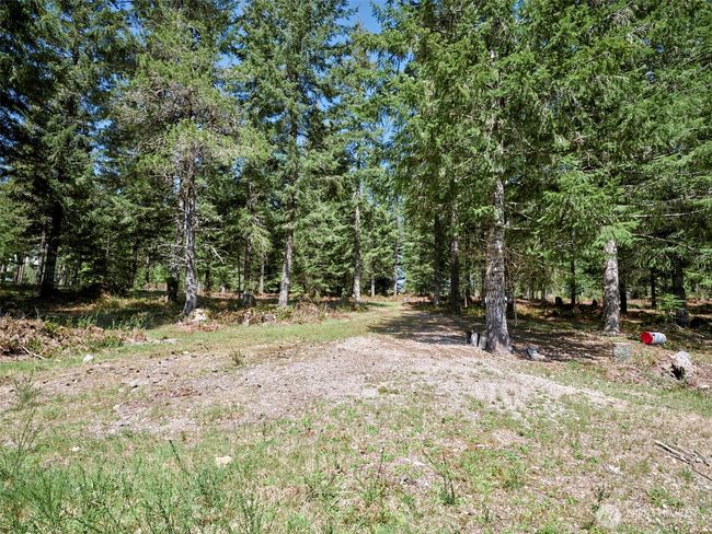 Cleared area | Image 12