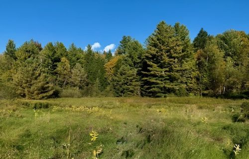 843 River Road, Troy, VT, 05859 | Card Image
